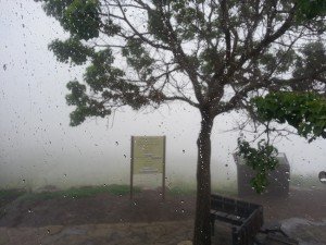 Fog