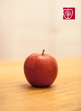 Lilit Kommunikation Mainz