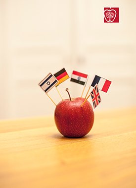 Active globally: intercultural awareness