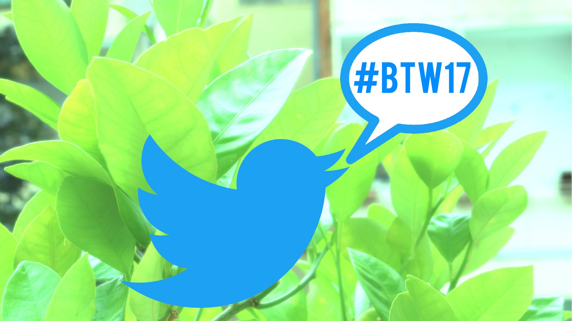 #btw17 | Twitter — campaigning in 140 characters